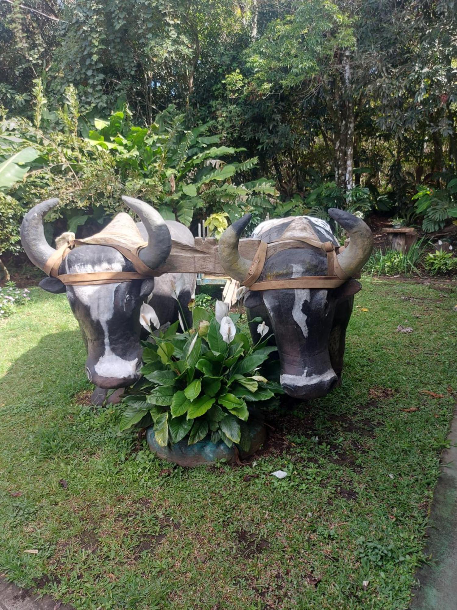 Alisson Hotel Y Restaurant Monteverde 外观 照片